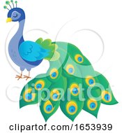 Poster, Art Print Of Cute Peacock Bird