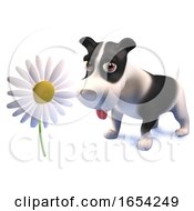 Cute Black And White Puppy Dog Standing By A Daisy Flower 3d Illustration by Steve Young