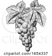 Bunch Of Grapes On Grapevine And Leaves