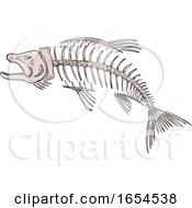 King Salmon Skeleton Drawing