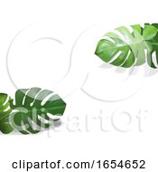 3d Tropical Foliage Backdrop