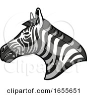 Poster, Art Print Of Profiled Tough Zebra Head