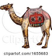 Poster, Art Print Of Sketched Egyptian Camel