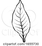 Poster, Art Print Of Black And White Tobacco Leaf