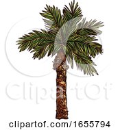 Poster, Art Print Of Sketched Palm Tree