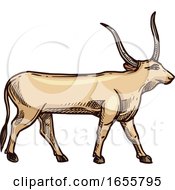 Poster, Art Print Of Sketched Cow