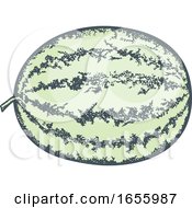Poster, Art Print Of Sketched Green Watermelon