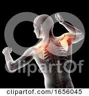 Poster, Art Print Of 3d Male Medical Figure With Shoulder Blades Highlighted