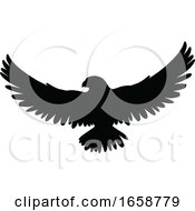 Silhouetted Flying Eagle