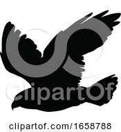 Poster, Art Print Of Silhouetted Flying Eagle