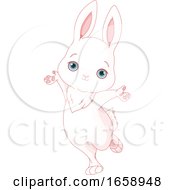 Cute Happy White Bunny Rabbit Jumping