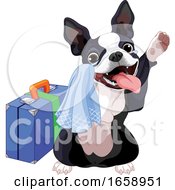 Cute Boston Terrier Dog Traveling And Waving Goodbye
