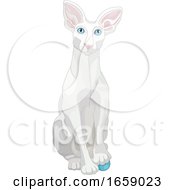 Cute White Oriental Shorthair Cat Resting A Paw On A Toy