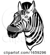Poster, Art Print Of Black And White Zebra Head