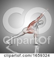 Poster, Art Print Of 3d Male Figure In Revolved Side Angle Pose With Muscles Used Highlighted