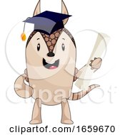 Armadillo With Diploma