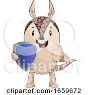 Poster, Art Print Of Armadillo With Shield