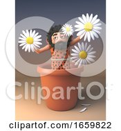 Caveman With Long Beard And Wearing An Animal Pelt Stands In A Flower Pot And Holds Daisies Up In A Display