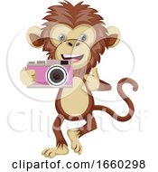 Poster, Art Print Of Monkey With Camera