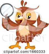 Poster, Art Print Of Owl With Magnifying Glass