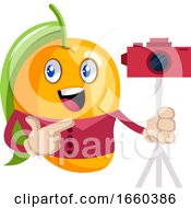 Poster, Art Print Of Mango With Camera