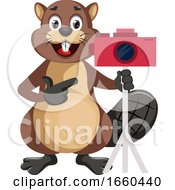 Poster, Art Print Of Beaver With Camera