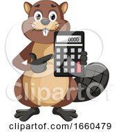 Poster, Art Print Of Beaver Holding Calculator