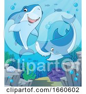 Poster, Art Print Of Cartoon Sharks Underwater