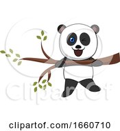 Poster, Art Print Of Panda On A Branch
