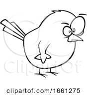 Cartoon Outline Angry Chickadee Bird