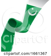 Pakistan Flag Background by Domenico Condello