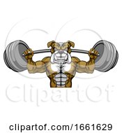 Poster, Art Print Of Bulldog Mascot Weight Lifting Body Builder