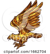 Poster, Art Print Of Golden Eagle