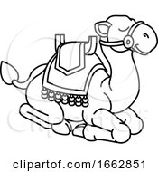 Camel Animal Cartoon Character