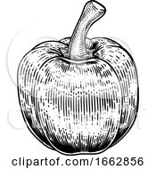 Bell Pepper Woodcut Vegetable Illustration