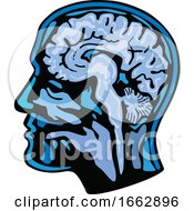 Poster, Art Print Of Brain Scanning Imaging Side