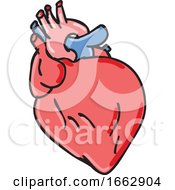 Poster, Art Print Of Human Heart Cartoon