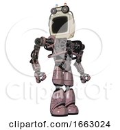 Bot Containing Old Computer Monitor And Old Computer Magnetic Tape And Heavy Upper Chest And No Chest Plating And Light Leg Exoshielding