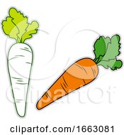 Poster, Art Print Of Fresh Carrot