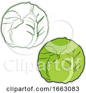 Poster, Art Print Of Fresh Cabbage
