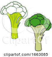Poster, Art Print Of Fresh Broccoli