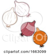 Poster, Art Print Of Fresh Onion