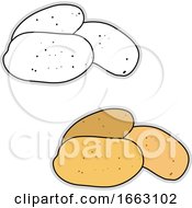 Poster, Art Print Of Fresh Potato