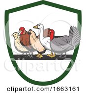 Chickens Goose And Turkey by Vector Tradition SM