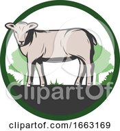 Poster, Art Print Of Lamb