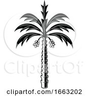 Black And White Egyptian Palm Tree