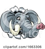 Elephant Sports Animal Mascot