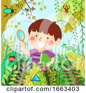 Poster, Art Print Of Kid Boy Find Shape Insects Illustration