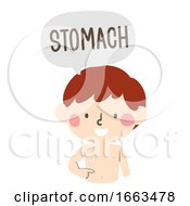 Poster, Art Print Of Kid Boy Naming Body Parts Stomach Illustration