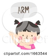Poster, Art Print Of Kid Girl Naming Body Parts Arm Illustration